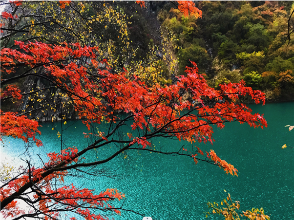 松坪溝1