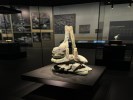 成都樂山大佛登山黃龍溪古鎮三星堆或金沙遺址熊貓基地純玩4日游